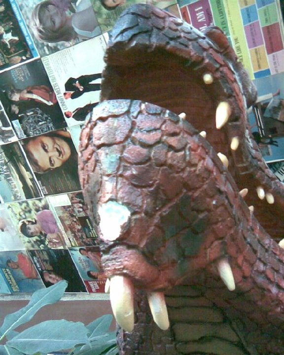 Image (8)